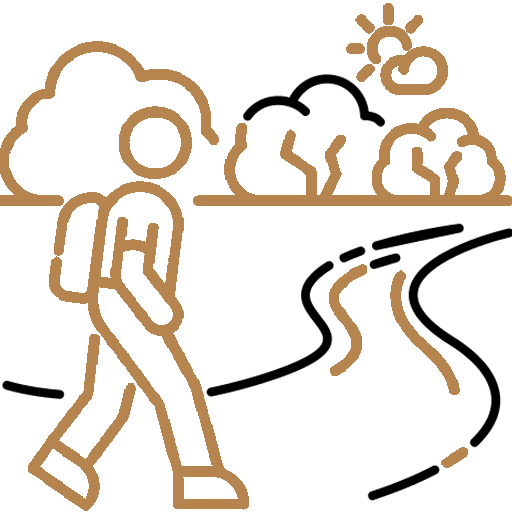 Egyéb programok